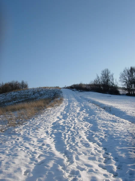 vezzano neve mozzone